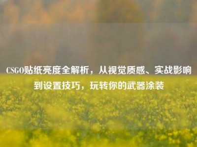 CSGO贴纸亮度全解析，从视觉质感、实战影响到设置技巧，玩转你的武器涂装