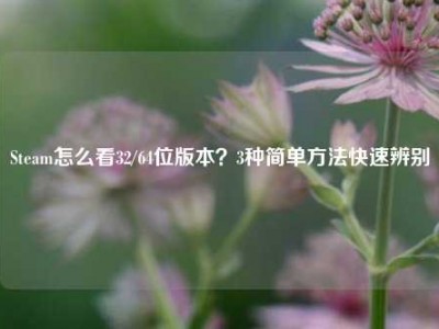 Steam怎么看32/64位版本？3种简单方法快速辨别