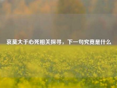 哀莫大于心死相关探寻，下一句究竟是什么
