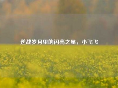 逆战岁月里的闪亮之星，小飞飞