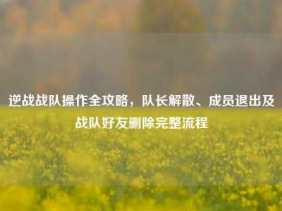逆战战队操作全攻略，队长解散、成员退出及战队好友删除完整流程