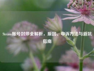 Steam账号封停全解析，原因、申诉方法与避坑指南