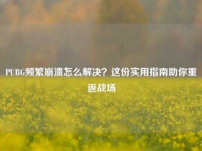 PUBG频繁崩溃怎么解决？这份实用指南助你重返战场