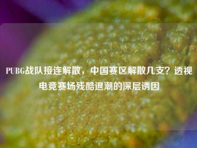 PUBG战队接连解散，中国赛区解散几支？透视电竞赛场残酷退潮的深层诱因