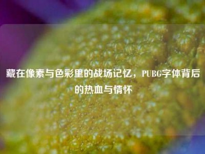 藏在像素与色彩里的战场记忆，PUBG字体背后的热血与情怀