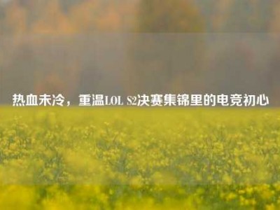 热血未冷，重温LOL S2决赛集锦里的电竞初心