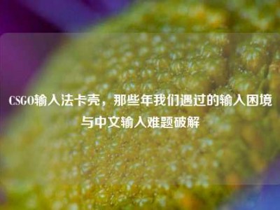 CSGO输入法卡壳，那些年我们遇过的输入困境与中文输入难题破解