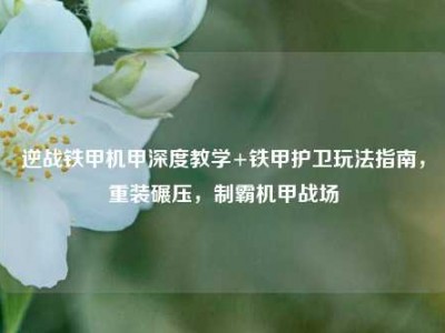 逆战铁甲机甲深度教学+铁甲护卫玩法指南，重装碾压，制霸机甲战场