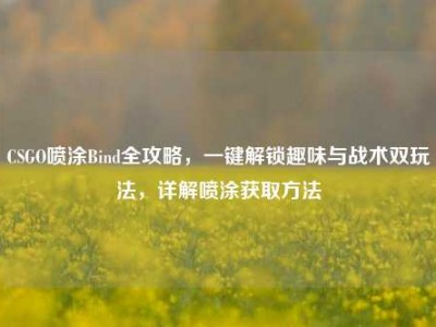 CSGO喷涂Bind全攻略，一键解锁趣味与战术双玩法，详解喷涂获取方法
