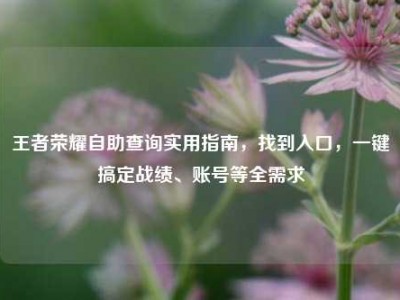 王者荣耀自助查询实用指南，找到入口，一键搞定战绩、账号等全需求