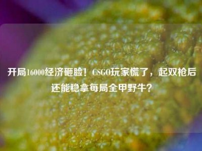 开局16000经济砸脸！CSGO玩家慌了，起双枪后还能稳拿每局全甲野牛？