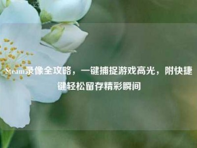 Steam录像全攻略，一键捕捉游戏高光，附快捷键轻松留存精彩瞬间