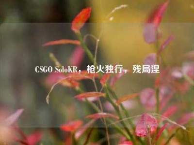 CSGO SoloKR，枪火独行，残局涅槃