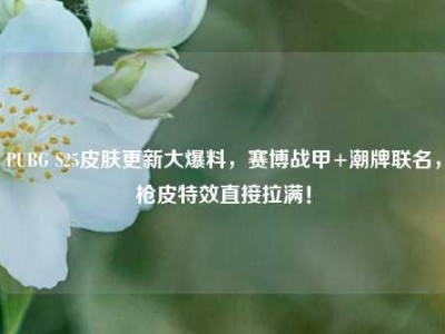 PUBG S25皮肤更新大爆料，赛博战甲+潮牌联名，枪皮特效直接拉满！