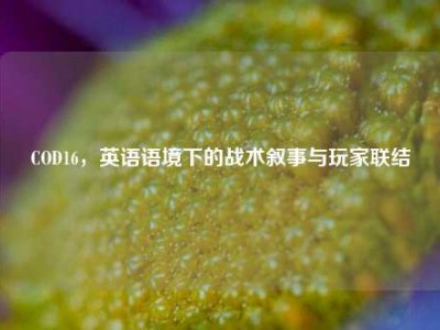 COD16，英语语境下的战术叙事与玩家联结