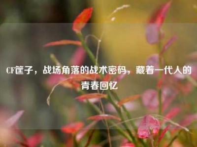 CF筐子，战场角落的战术密码，藏着一代人的青春回忆