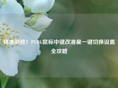 精准制胜！PUBG鼠标中键改准星一键切换设置全攻略