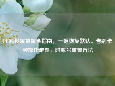 PUBG设置重置全指南，一键恢复默认、告别卡顿操作难题，附账号重置方法