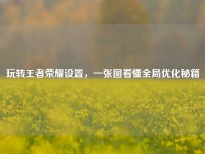 玩转王者荣耀设置，一张图看懂全局优化秘籍