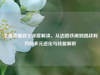 王者荣耀战士深度解读，从边路铁闸到团战利刃的多元进化与技能解析