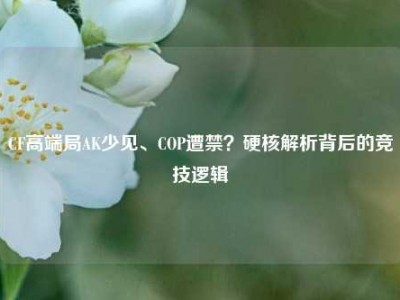 CF高端局AK少见、COP遭禁？硬核解析背后的竞技逻辑
