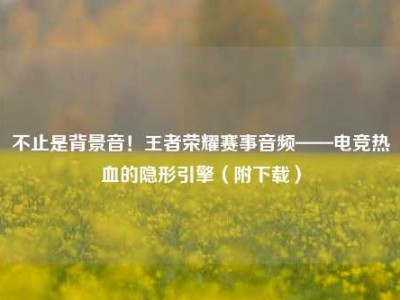 不止是背景音！王者荣耀赛事音频——电竞热血的隐形引擎（附下载）