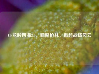 CF龙吟四海2.0，啸聚枪林，掀起战场风云