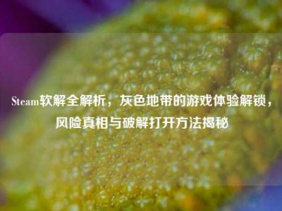 Steam软解全解析，灰色地带的游戏体验解锁，风险真相与破解打开方法揭秘