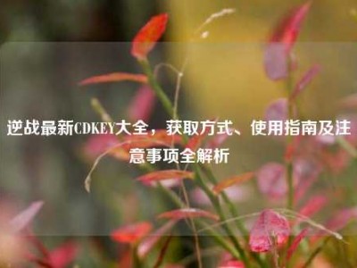 逆战最新CDKEY大全，获取方式、使用指南及注意事项全解析