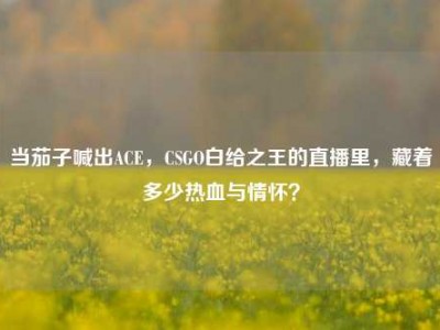 当茄子喊出ACE，CSGO白给之王的直播里，藏着多少热血与情怀？