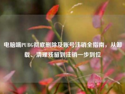 电脑端PUBG彻底删除及账号注销全指南，从卸载、清理残留到注销一步到位