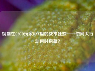 镌刻在CSGO玩家DNA里的战术狂欢——裂网大行动何时启幕？