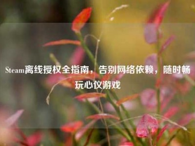 Steam离线授权全指南，告别网络依赖，随时畅玩心仪游戏