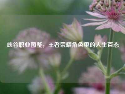 峡谷职业图鉴，王者荣耀角色里的人生百态