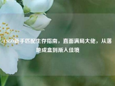 CSGO新手匹配生存指南，直面满局大佬，从落地成盒到渐入佳境