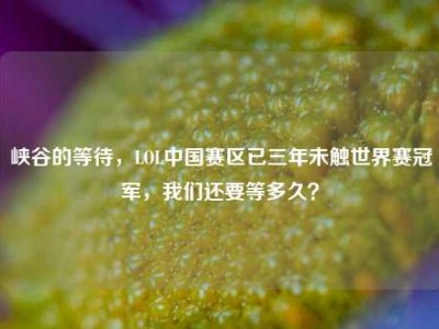 峡谷的等待，LOL中国赛区已三年未触世界赛冠军，我们还要等多久？