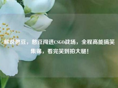 解说憨豆，憨豆闯进CSGO战场，全程高能搞笑集锦，看完笑到拍大腿！