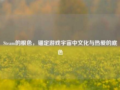 Steam的根色，锚定游戏宇宙中文化与热爱的底色