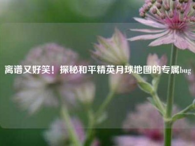 离谱又好笑！探秘和平精英月球地图的专属bug
