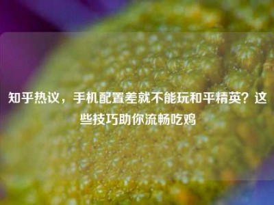 知乎热议，手机配置差就不能玩和平精英？这些技巧助你流畅吃鸡