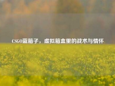 CSGO蓝箱子，虚拟箱盒里的战术与情怀