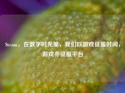 Steam，在数字时光里，我们以游戏征服时间，游戏亦征服平台