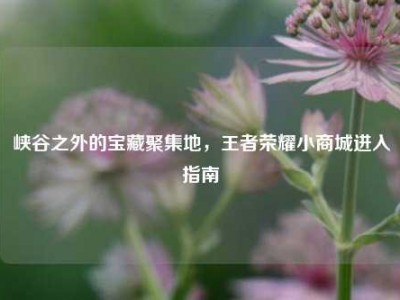 峡谷之外的宝藏聚集地，王者荣耀小商城进入指南
