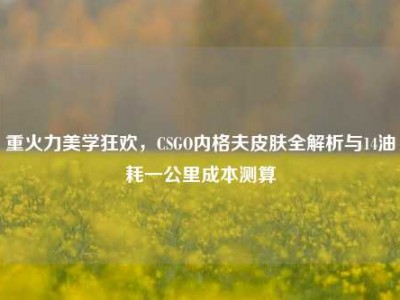 重火力美学狂欢，CSGO内格夫皮肤全解析与14油耗一公里成本测算