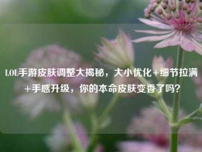 LOL手游皮肤调整大揭秘，大小优化+细节拉满+手感升级，你的本命皮肤变香了吗？