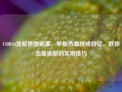 COD16货船地图谢幕，甲板热血终成回忆，教你击落炮艇的实用技巧