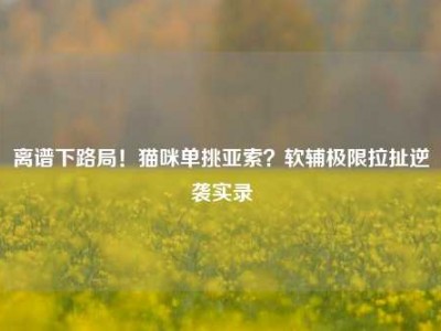 离谱下路局！猫咪单挑亚索？软辅极限拉扯逆袭实录