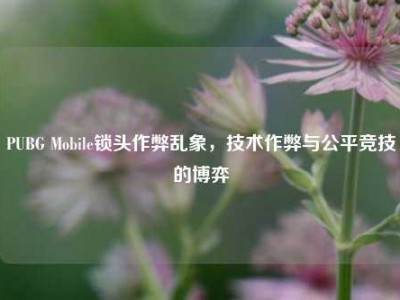 PUBG Mobile锁头作弊乱象，技术作弊与公平竞技的博弈