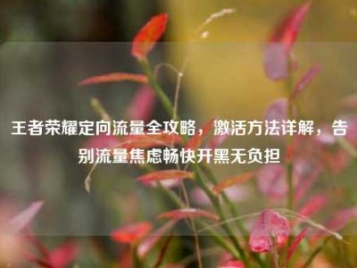 王者荣耀定向流量全攻略，激活方法详解，告别流量焦虑畅快开黑无负担
