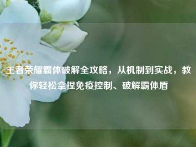 王者荣耀霸体破解全攻略，从机制到实战，教你轻松拿捏免疫控制、破解霸体盾